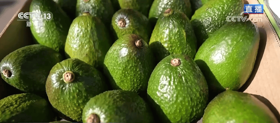 人气旺、消费火<strong></p>
<p>中天科技股票</strong>，热气腾腾！各地市场活跃繁荣 “年经济”释放“新”热度