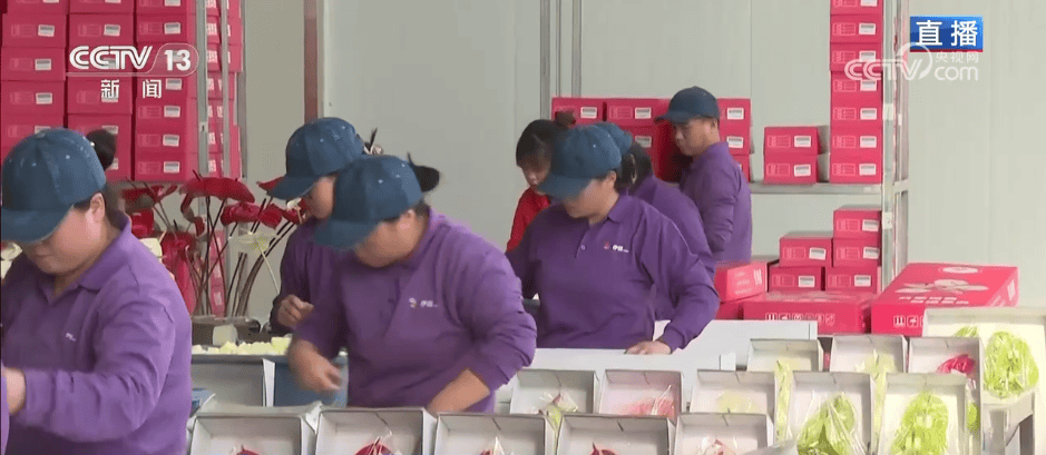 人气旺、消费火<strong></p>
<p>中天科技股票</strong>，热气腾腾！各地市场活跃繁荣 “年经济”释放“新”热度