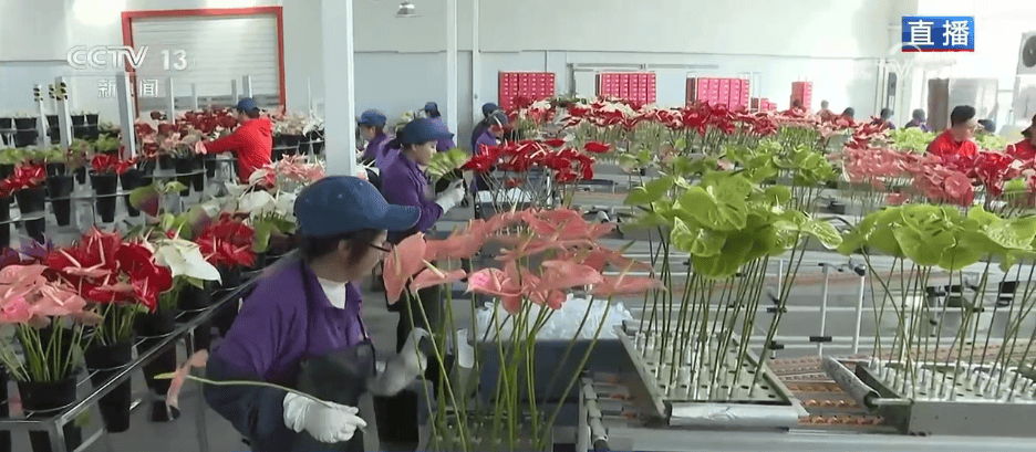 人气旺、消费火<strong></p>
<p>中天科技股票</strong>，热气腾腾！各地市场活跃繁荣 “年经济”释放“新”热度