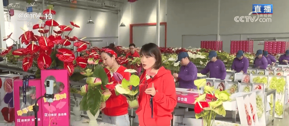 人气旺、消费火<strong></p>
<p>中天科技股票</strong>，热气腾腾！各地市场活跃繁荣 “年经济”释放“新”热度