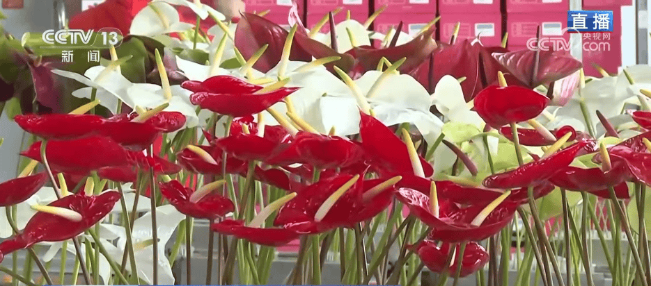 人气旺、消费火<strong></p>
<p>中天科技股票</strong>，热气腾腾！各地市场活跃繁荣 “年经济”释放“新”热度