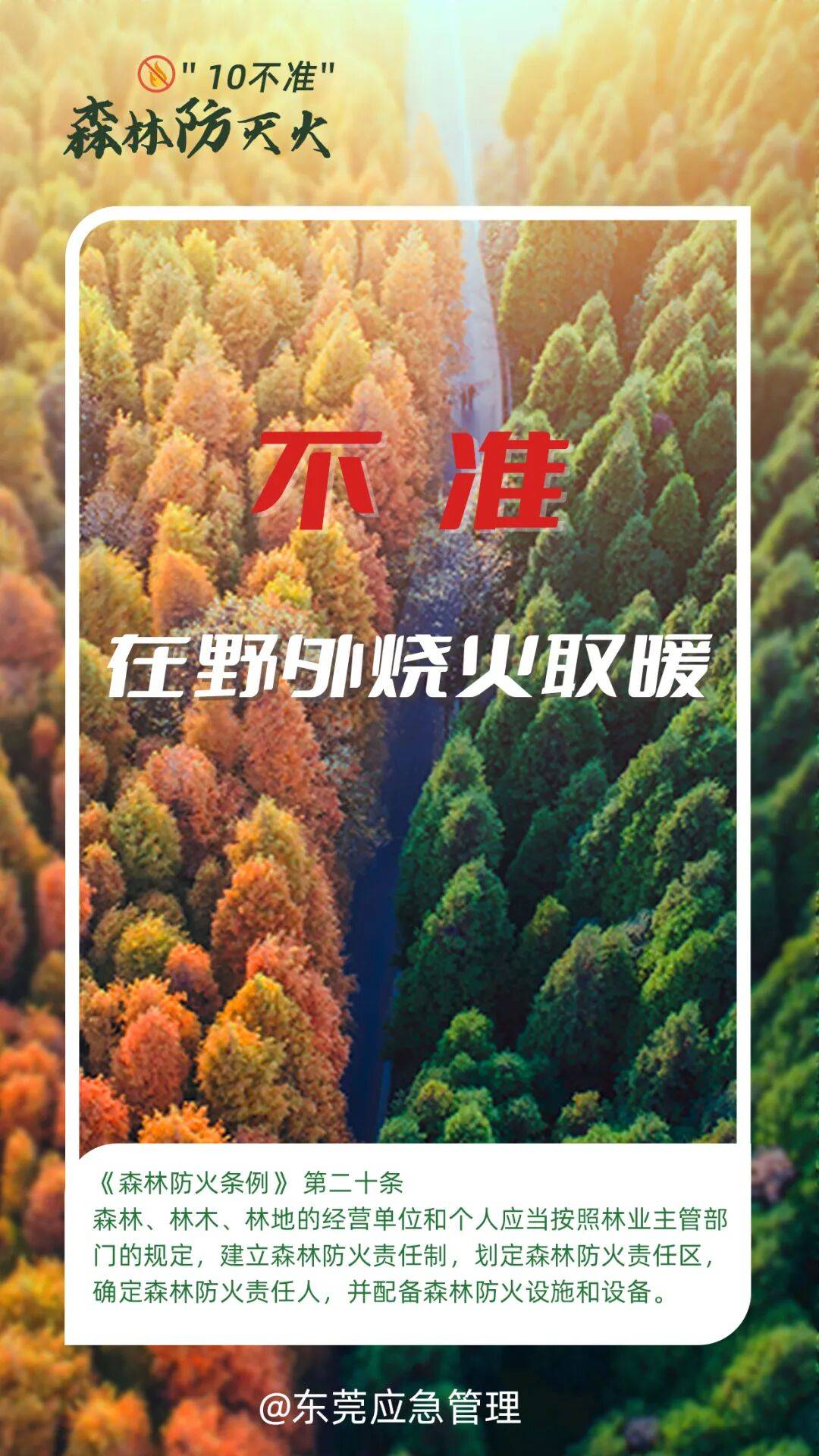 深圳坪山区突发山火<strong></p>
<p>中天科技股票</strong>，最新通报：明火已扑灭，无人员伤亡