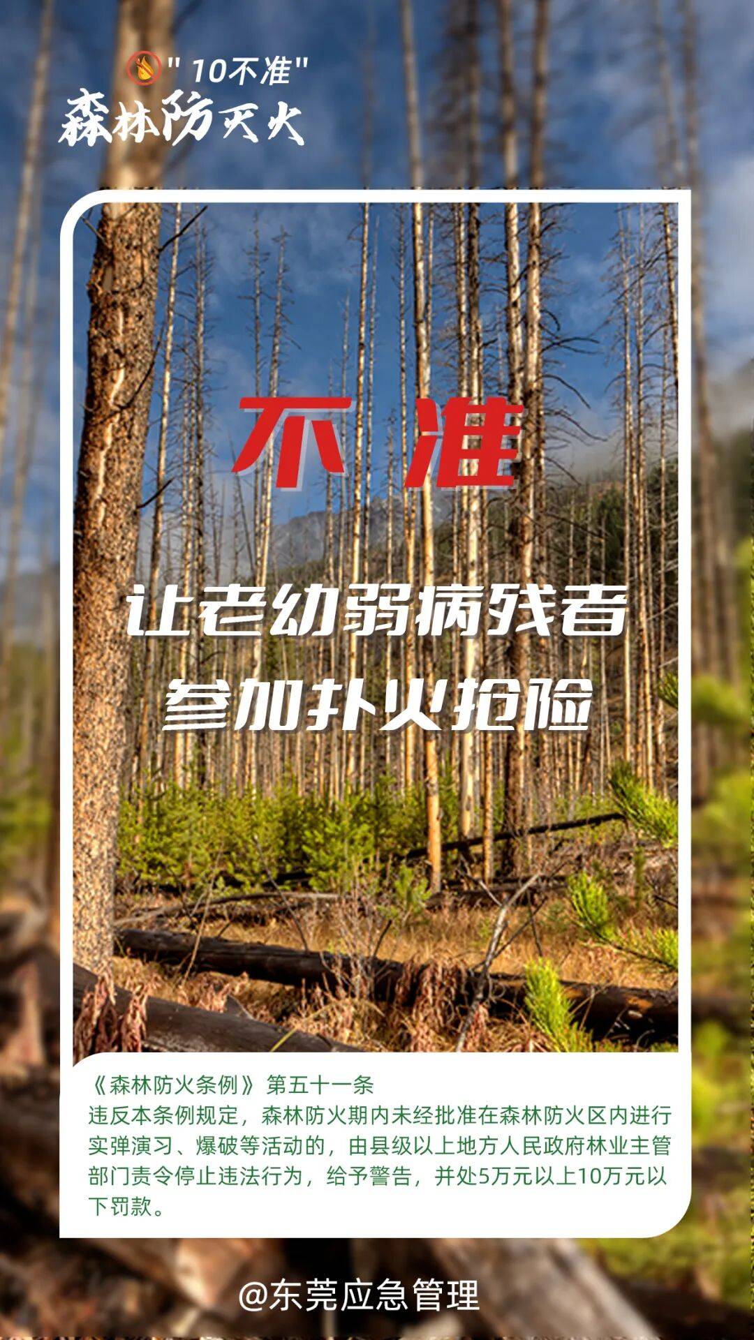 深圳坪山区突发山火<strong></p>
<p>中天科技股票</strong>，最新通报：明火已扑灭，无人员伤亡